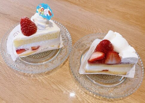 フロプロステージュのケーキ