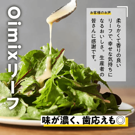 オイシックス おためしセット